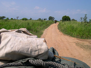 Safari Game Drives in Udawalawe National Park
